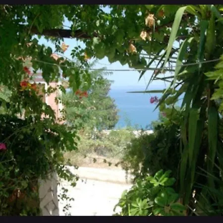 Daire Rena Vasilikos Zante